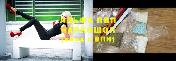 молекула духа Коряжма