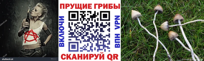 Галлюциногенные грибы Cubensis  Купино 